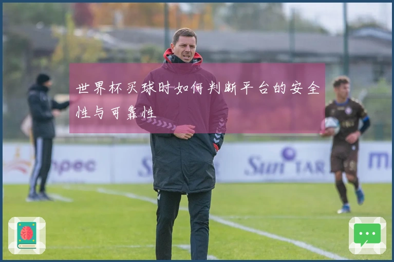 世界杯买球时如何判断平台的安全性与可靠性